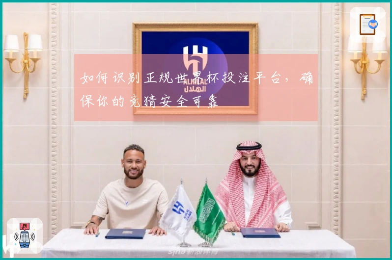 如何识别正规世界杯投注平台,确保你的竞猜安全可靠