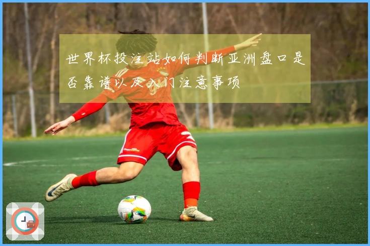 世界杯投注站如何判断亚洲盘口是否靠谱以及入门注意事项