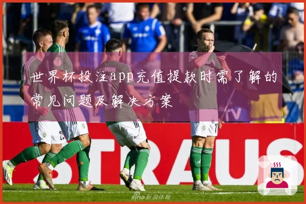 世界杯投注app充值提款时需了解的常见问题及解决方案