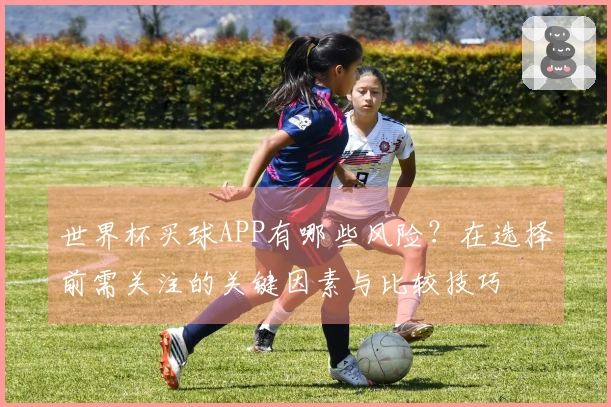 世界杯买球APP有哪些风险？在选择前需关注的关键因素与比较技巧