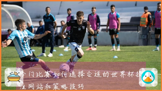 冷门比赛如何选择合适的世界杯投注网站和策略技巧