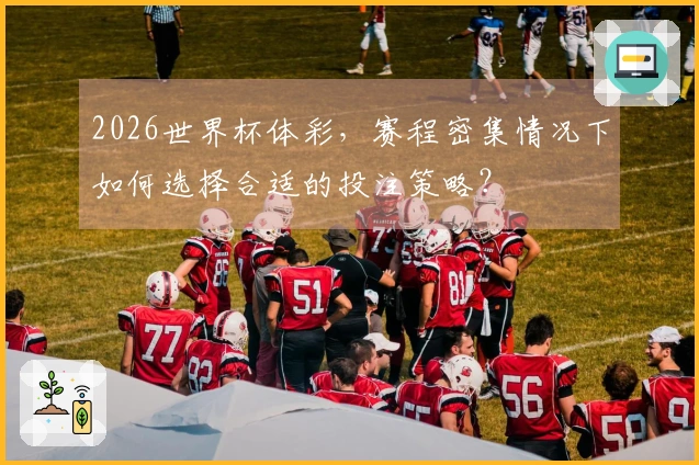 2026世界杯体彩，赛程密集情况下如何选择合适的投注策略？