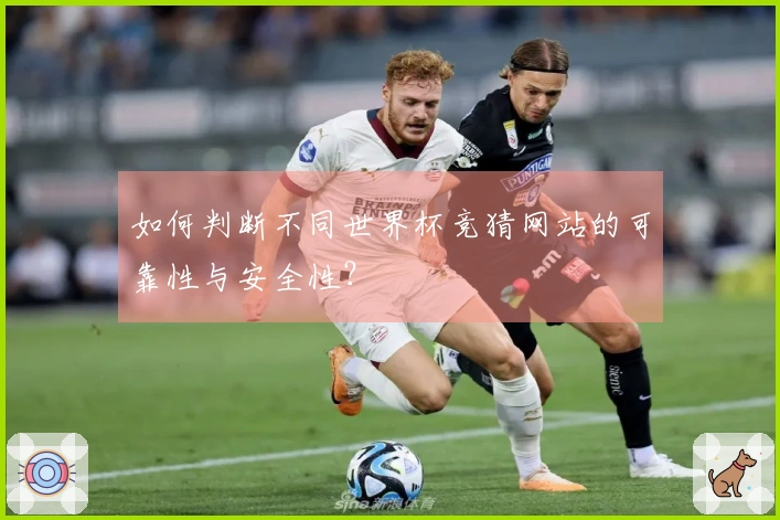 如何判断不同世界杯竞猜网站的可靠性与安全性?