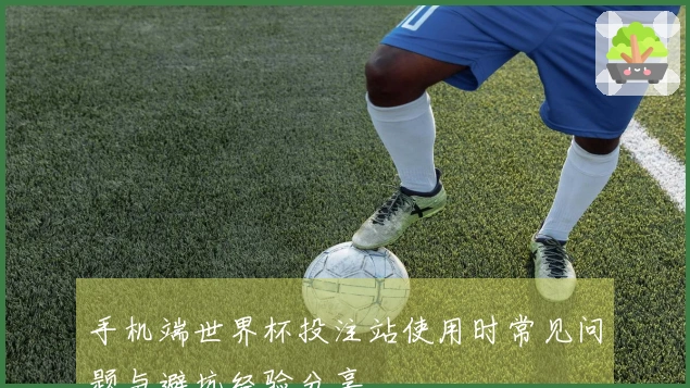 手机端世界杯投注站使用时常见问题与避坑经验分享