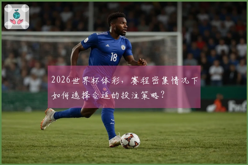 2026世界杯体彩，赛程密集情况下如何选择合适的投注策略？
