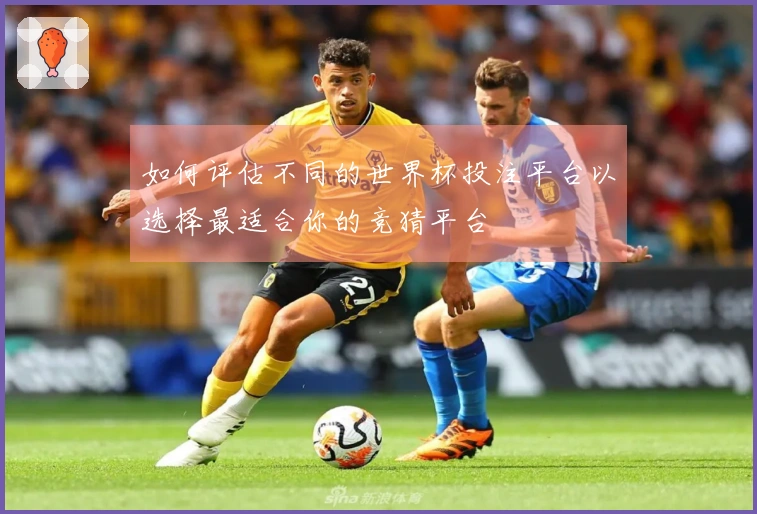 如何评估不同的世界杯投注平台以选择最适合你的竞猜平台