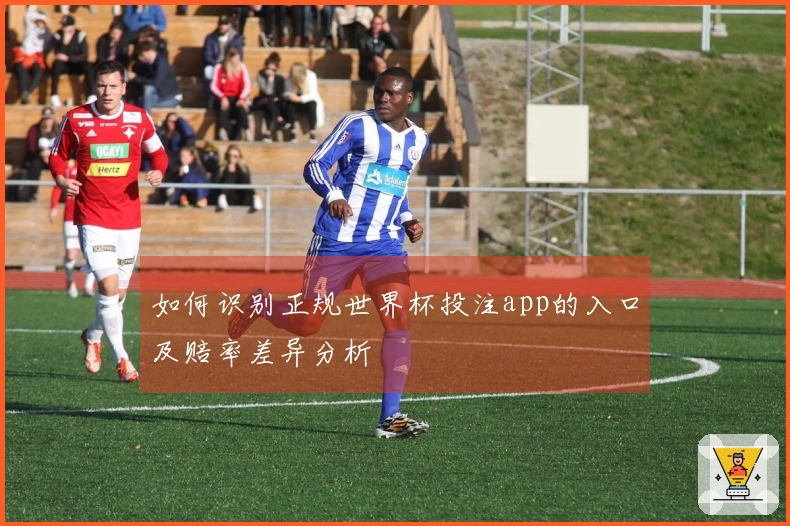 如何识别正规世界杯投注app的入口及赔率差异分析