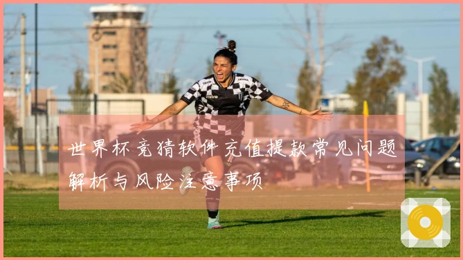 世界杯竞猜软件充值提款常见问题解析与风险注意事项