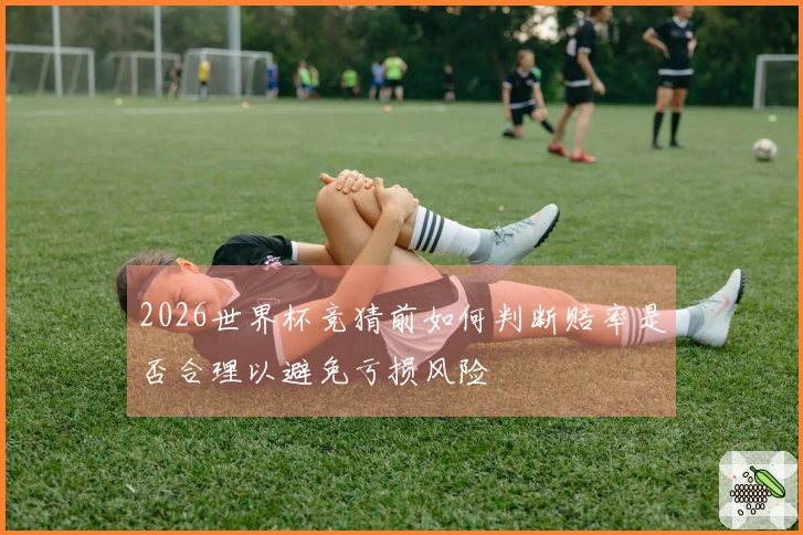 2026世界杯竞猜前如何判断赔率是否合理以避免亏损风险