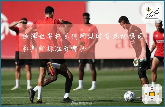 选择世界杯竞猜网站时常见的误区和判断标准有哪些？