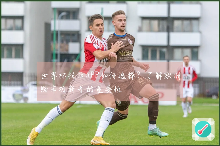 世界杯投注APP如何选择？了解欧洲赔率对新手的重要性