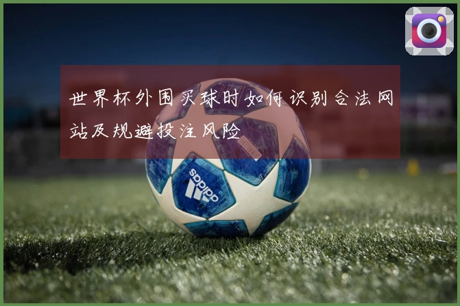 世界杯外围买球时如何识别合法网站及规避投注风险