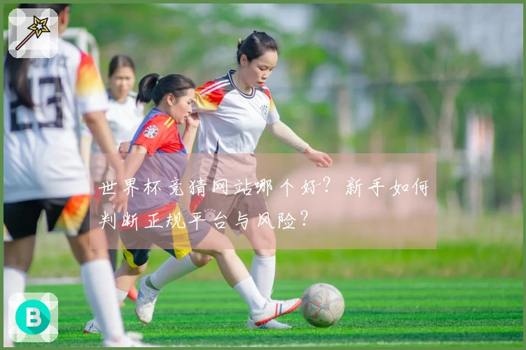 世界杯竞猜网站哪个好？新手如何判断正规平台与风险？