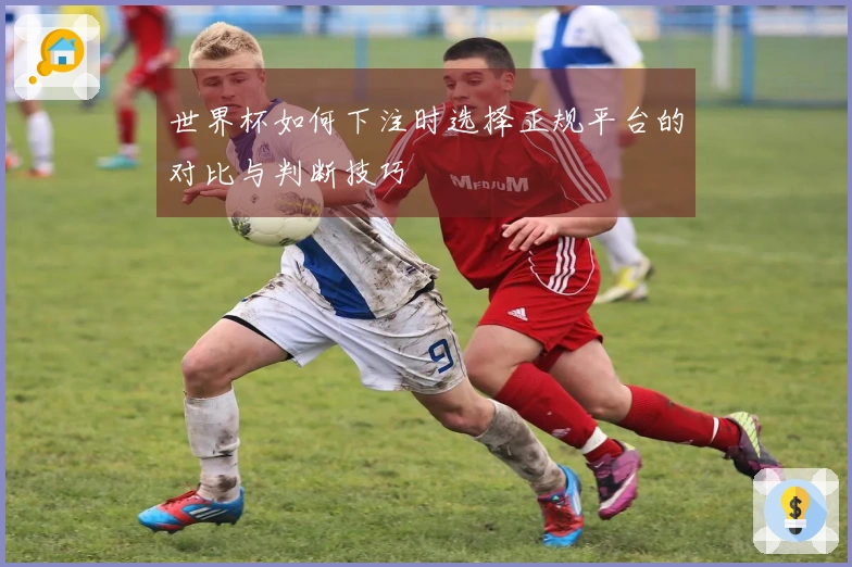 世界杯如何下注时选择正规平台的对比与判断技巧