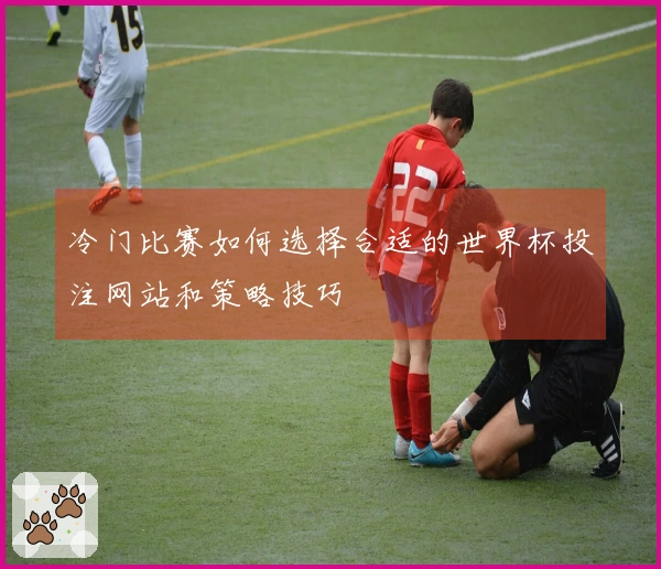 冷门比赛如何选择合适的世界杯投注网站和策略技巧