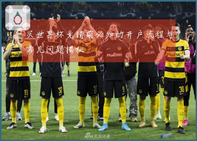 买世界杯竞猜前必知的开户流程与常见问题揭秘