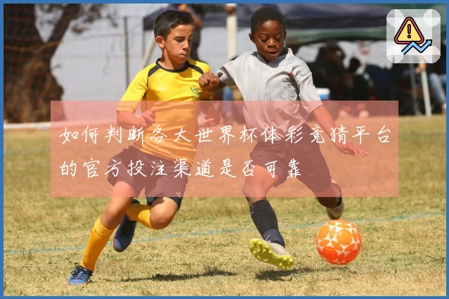 如何判断各大世界杯体彩竞猜平台的官方投注渠道是否可靠