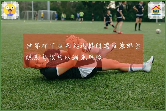 世界杯下注网站选择时需注意哪些规则与技巧以避免风险