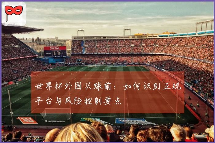 世界杯外围买球前，如何识别正规平台与风险控制要点