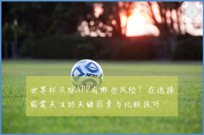 世界杯买球APP有哪些风险？在选择前需关注的关键因素与比较技巧