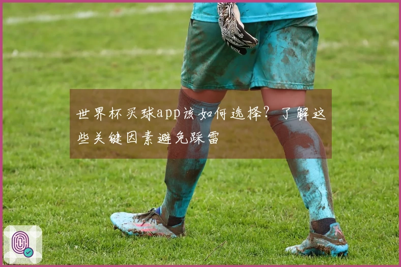 世界杯买球app该如何选择?了解这些关键因素避免踩雷