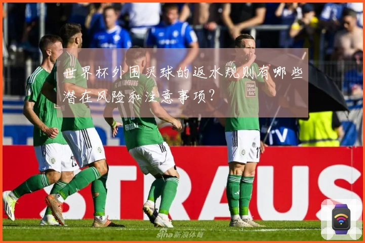 世界杯外围买球的返水规则有哪些潜在风险和注意事项？