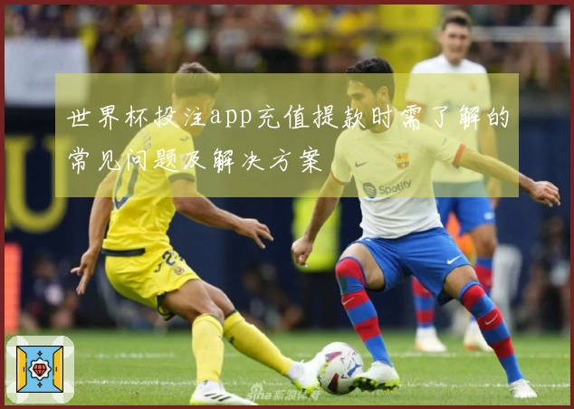 世界杯投注app充值提款时需了解的常见问题及解决方案