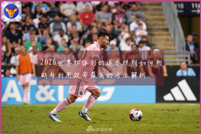 2026世界杯体彩的返水规则如何判断与利用效率最高的方法解析
