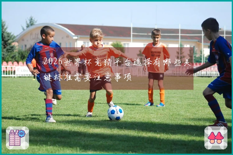 2026世界杯竞猜平台选择有哪些关键标准需要注意事项