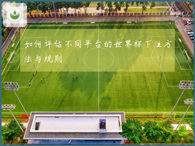如何评估不同平台的世界杯下注方法与规则