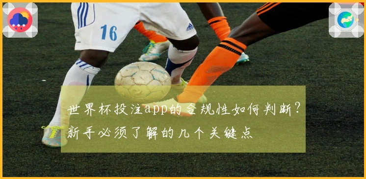 世界杯投注app的合规性如何判断？新手必须了解的几个关键点